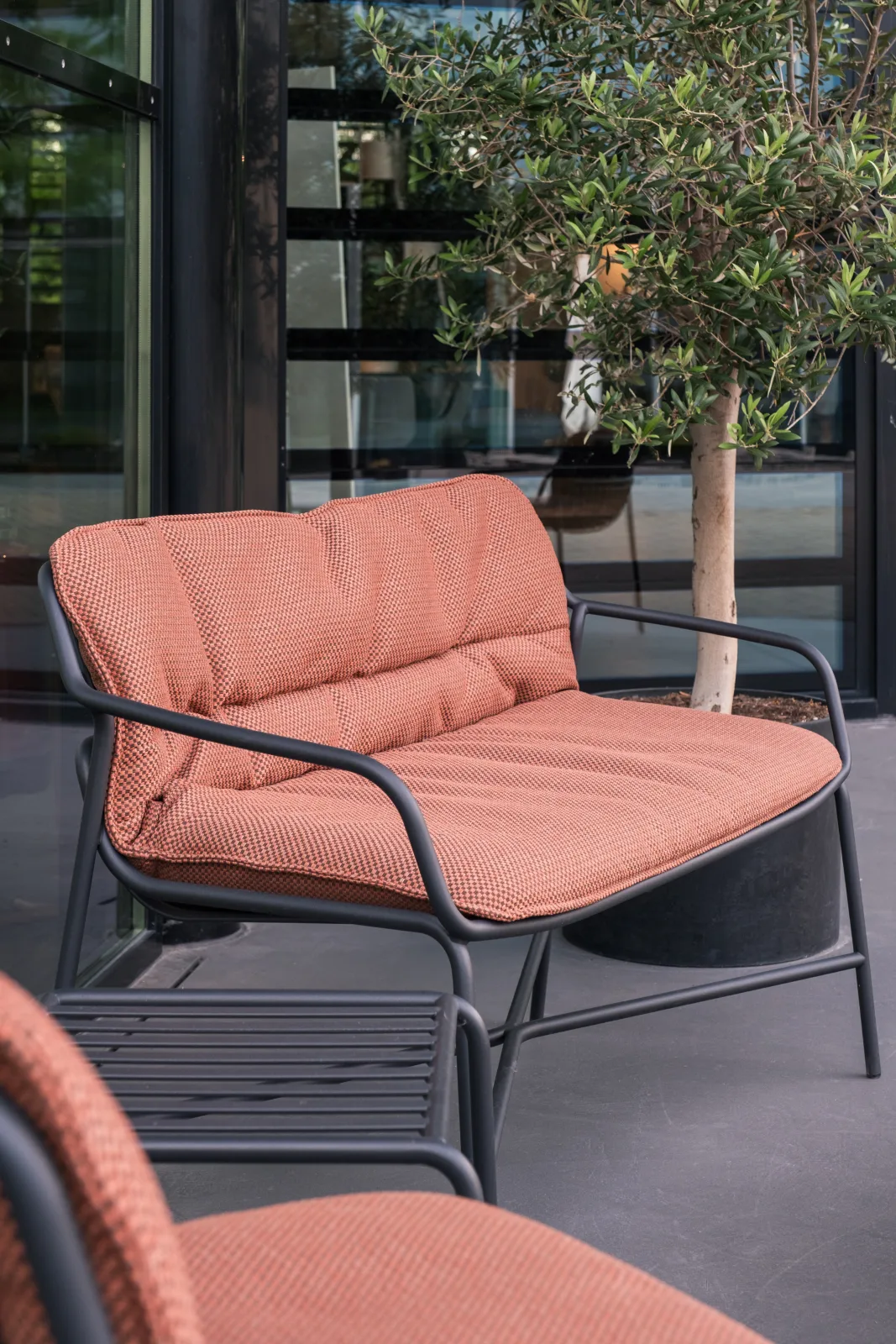 Loungesessel mit terrakottafarbenem Polster vor einer Glasfassade, daneben ein Olivenbaum im Kübel