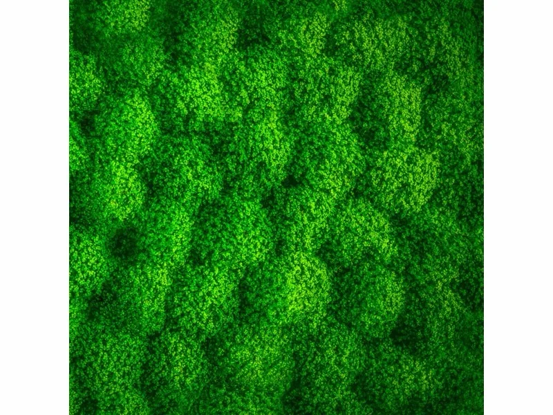Frameless Picture 50x50 Bubi, Gesamtansicht