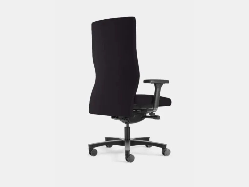 Löffler Panamero 885, Ansicht 4