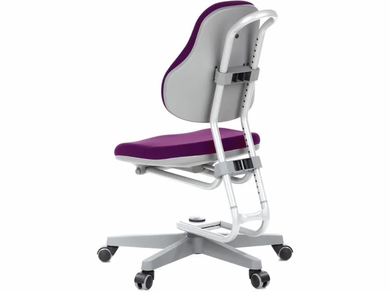 ROVO Buggy Violett, Ansicht 5